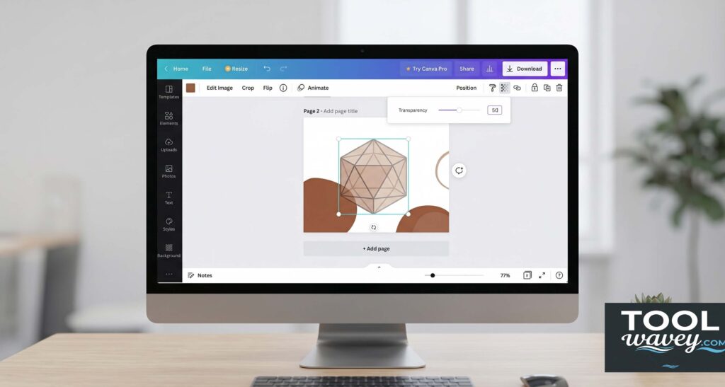 What Is Transparent Background in Canva Free?
